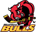 What a great cause it is for us to support the Junior Belleville Bulls as named sponsor. It's an honour to see these kids skate around with our name on their jerseys as they work so hard together as a team towards a goal.